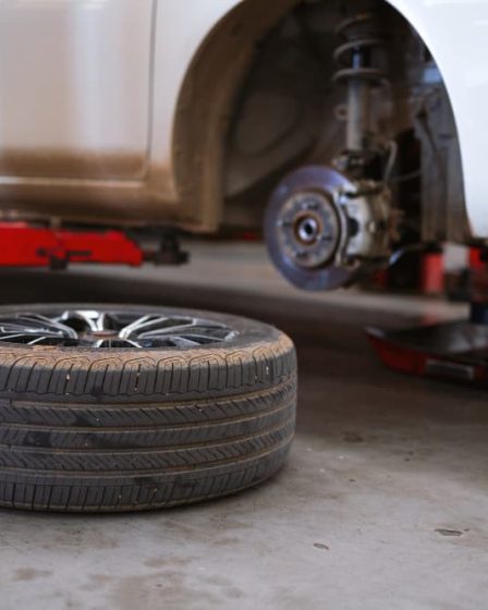 Vedaon: conheça o fabricante de coxim ideal para garantir padrão de qualidade